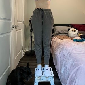 Aritzia wilfred sweatpants